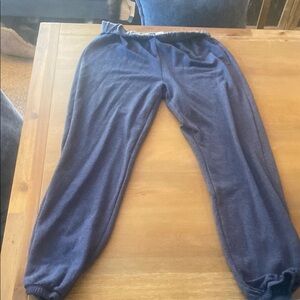 Freeloader Women’s Blue Jogger Pants